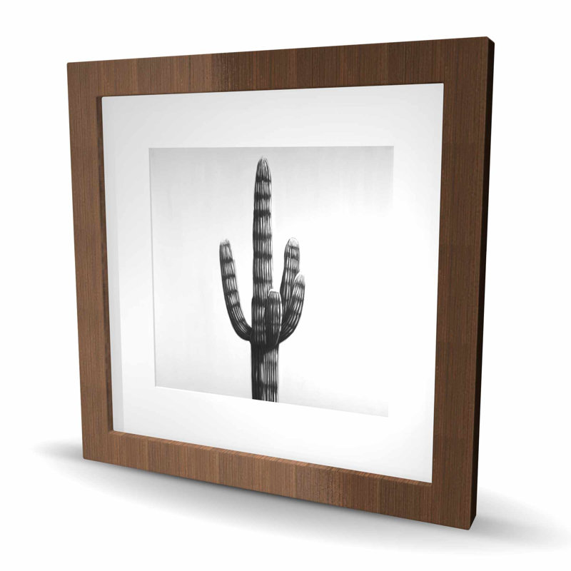 Grand motif de cactus avec passe-partout mat | Décoration botanique exotique