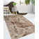 Kelson Abstract Indoor Rug
