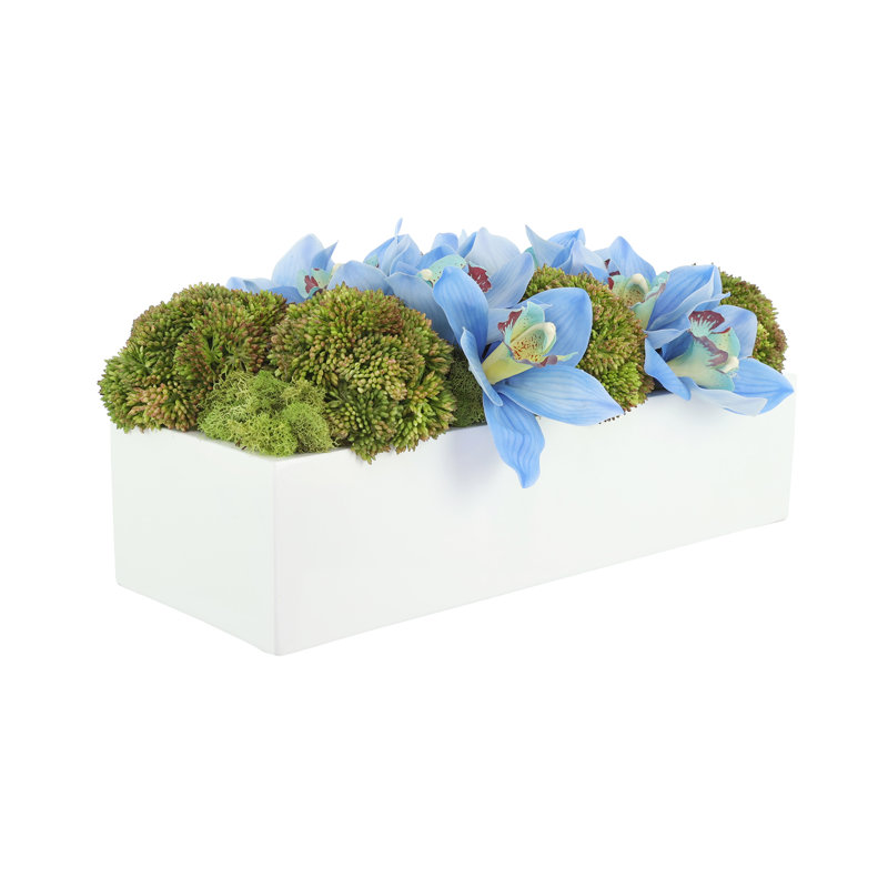 Orchid and Sedum Arranged in Fiberstone Planter, 7" H x 17" W x 10" D, Blue