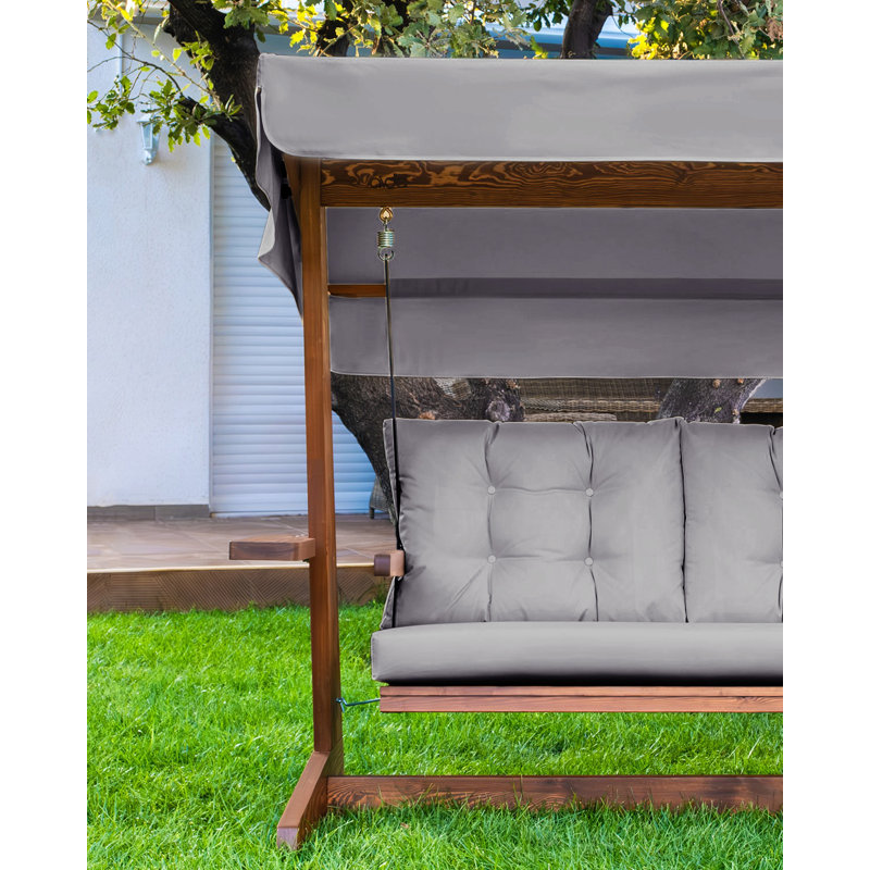 Chaniyah 3 Person Porch Swing with Canopy
