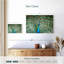 Paon Brampt arborant une queue-107676446