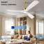Ventilateur de plafond intelligent 60 po avec lumière, 3 pales ABS, télécommande à 6 vitesses et commande vocale APP, 3CCT, à intensité variable, moteur réversible BLDC-133387527-133438086