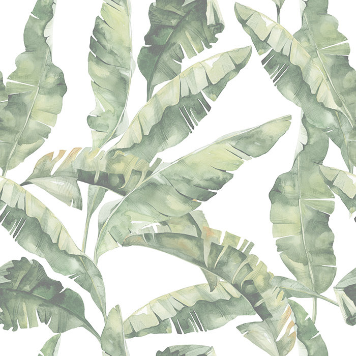Basilia No Pattern And Not Solid Colour Wallpaper, 250 x 104cm