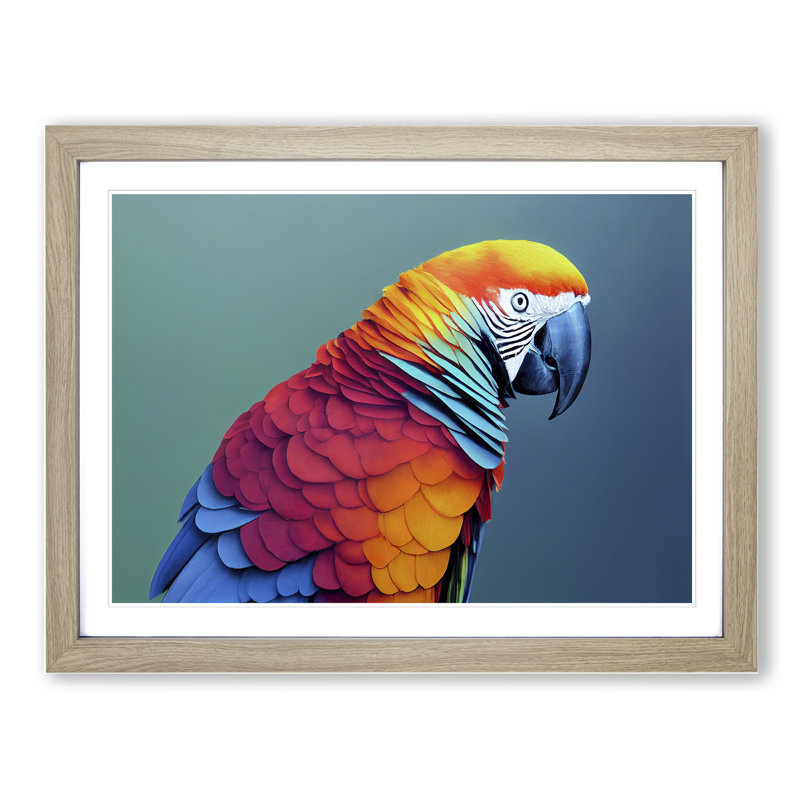 Colourful Parrot Portrait Vol.6 - Single Picture Frame Painting, Oak Framed, 46cm H x 64cm W x 2cm D
