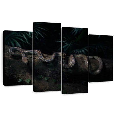 Brampt Australian Scrub Python