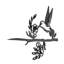 Silhouette d'un arbre - Colibri