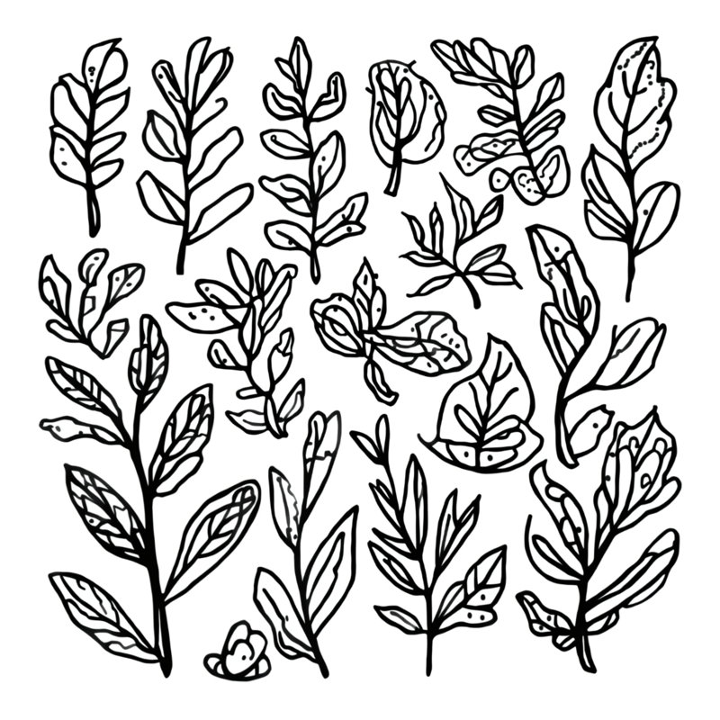 Housses de couette noires à feuilles botaniques, Lit simple