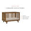 Hudson 3-in-1 Convertible Crib-1831566745