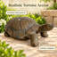 Statue de jardin de tortue marchant