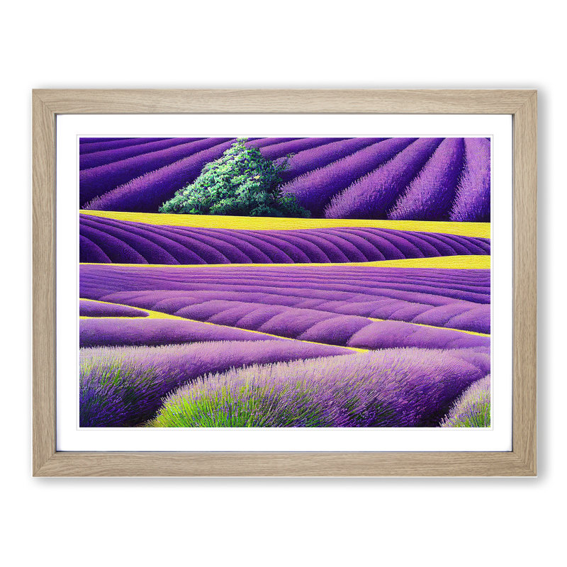 Head Turning Lavender Flower Field - Single Picture Frame Print, 46cm H x 64cm W, Grey
