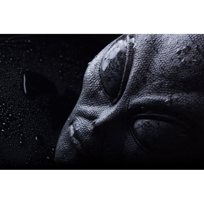 Evil Alien Face by DanBrandenburg - No Frame Art Prints on Canvas, 51cm H x 76cm W