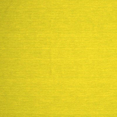 Performance Indoor Rug