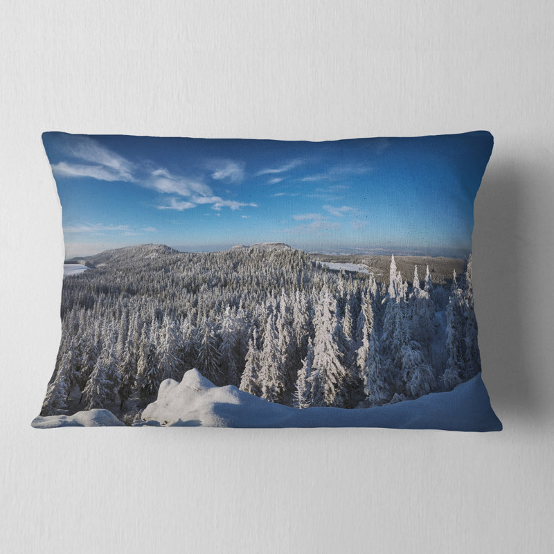 Coussin lombaire Schaol
