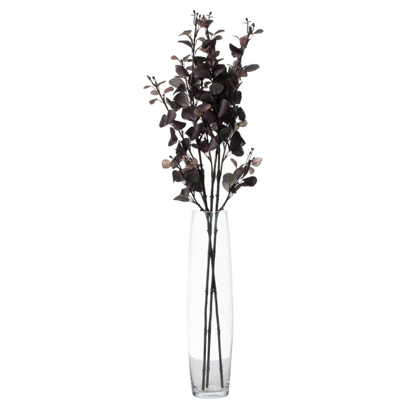 Jet d'eucalyptus, Mauve