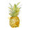 " Pineapple Splash I "