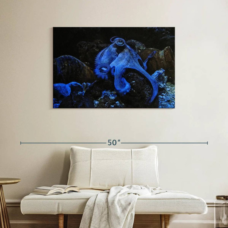 Brampt Stoic Blue Octopus, 26" H x 39" W