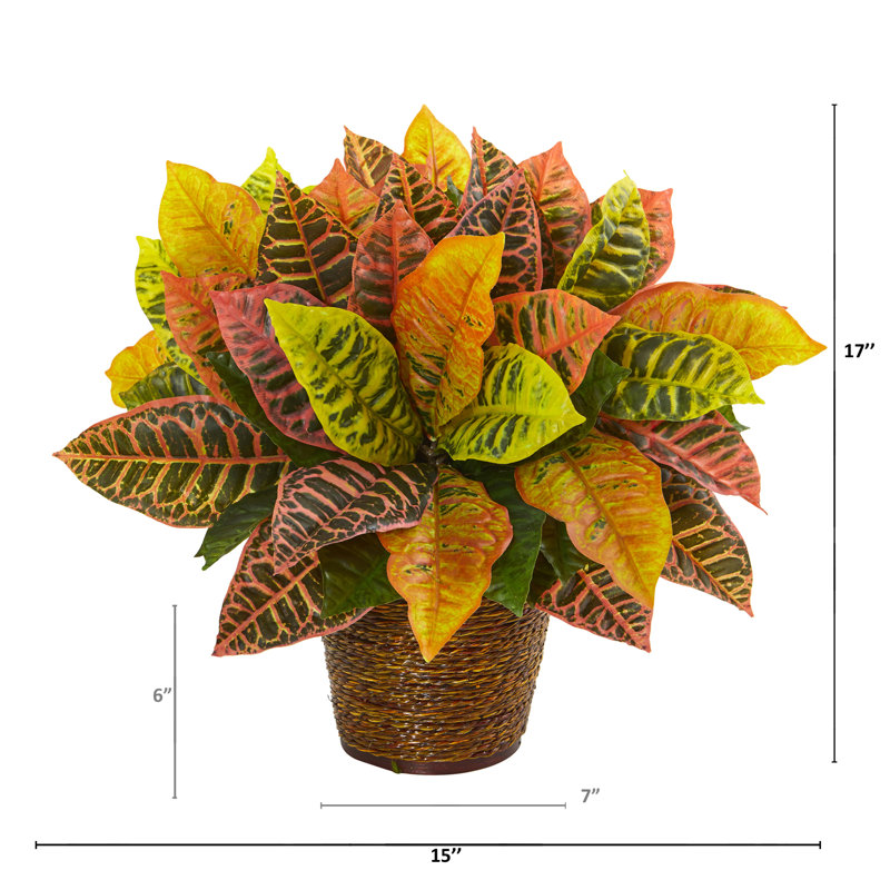 17'' Faux Foliage Plant in Wicker Basket