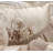 Ferndale Ornate Traditional Satin Floral Comforter-1392811207
