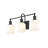 Cecere 3-Light Dimmable Steel Vanity Light