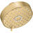 Awaken G110 1.75 Gpm Multifunction Showerhead-544648304