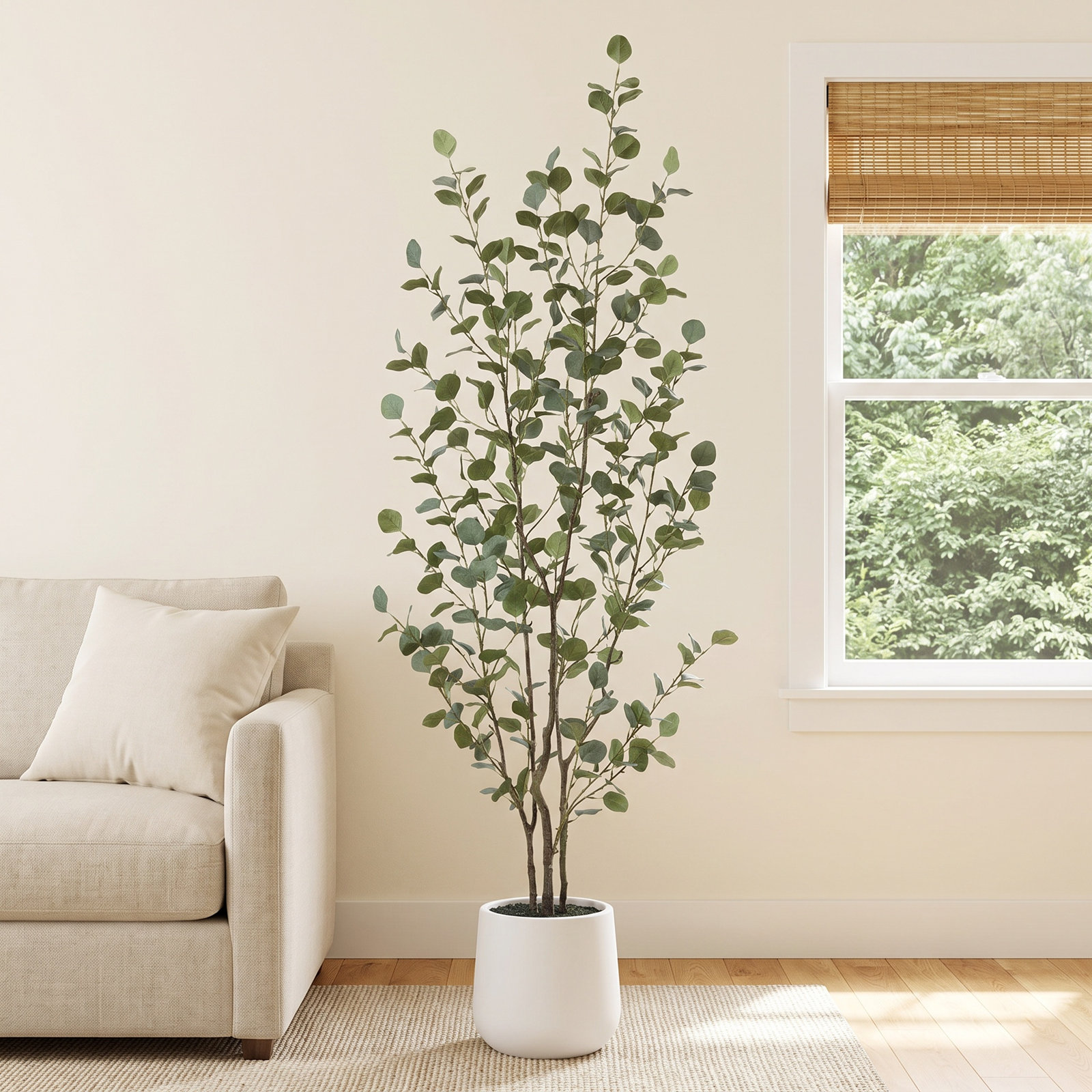 Adalia Eucalyptus Tree in Pot, 72" H x 24" W x 24" D