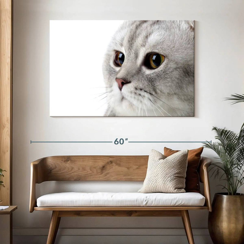 Crowle Fluffy Gray Cat, 32" H x 48" W