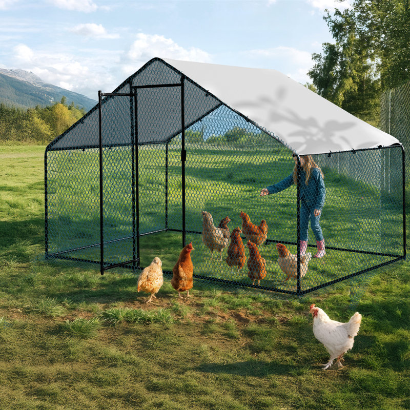 Emmeric Walk In Chicken Run, H 78 po x l 78 po x P 117 po, Noir
