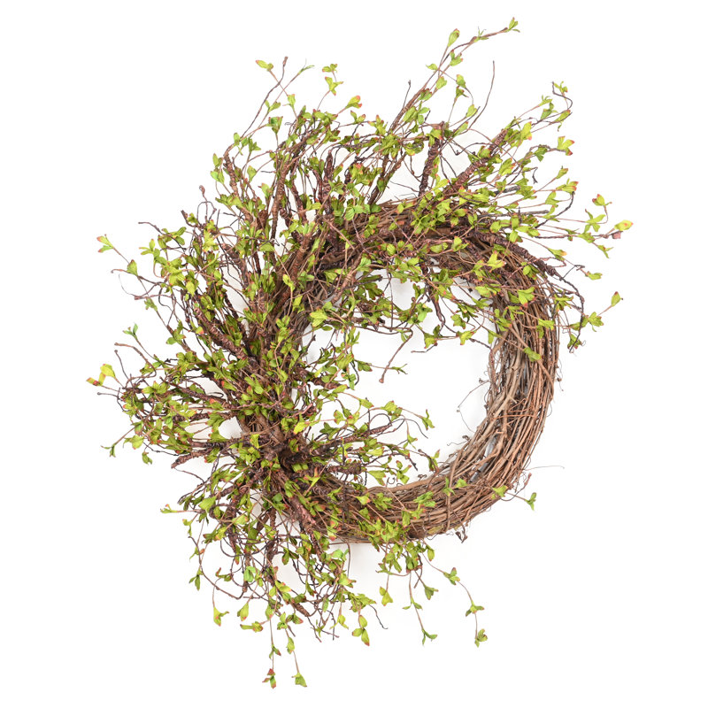26" Spring Grapevine Wreath for Front Door, Brown/Green