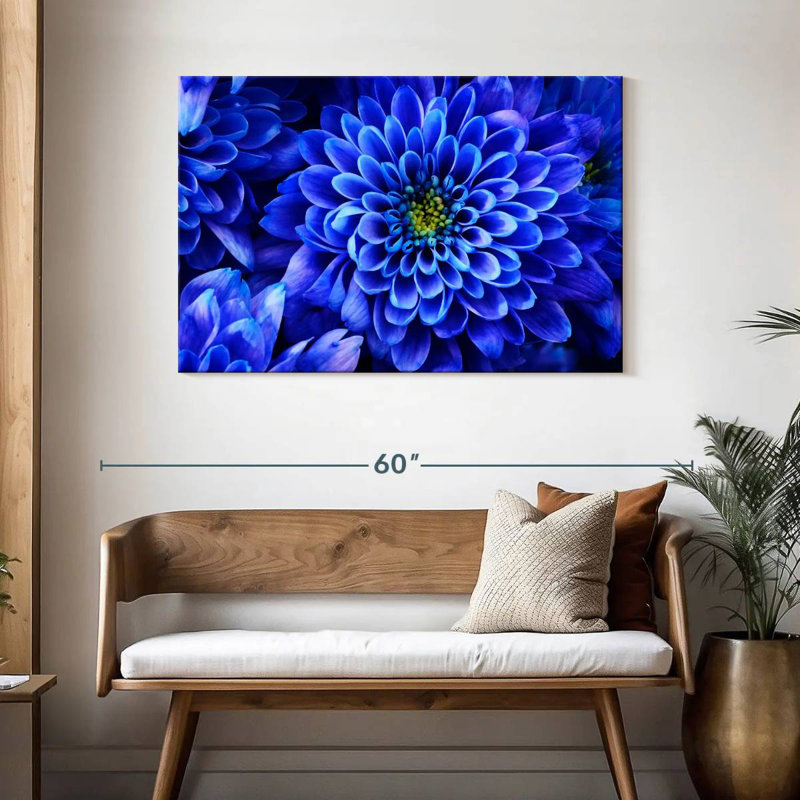 Dahlia Harnek exquis, H 30 po x l 45 po