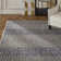 Barclee Oriental Indoor Rug