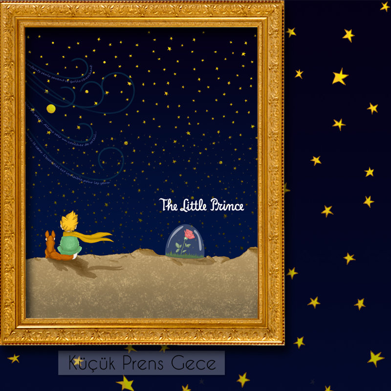 Theatre Little Prince 2 Pieces Panel Curtain, 52" W x 72" L