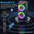 Karaoke Machine With 2 Wireless Microphones  Pa System For Adults With Echo Adjustment/Led Lights  Support Tv/Usb/Aux/Tf