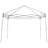 Weekender Elite 10 Ft. W x 10 Ft. D Steel Pop-Up Canopy-12183091