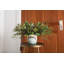 Ramage Ceramic Planter-635527234