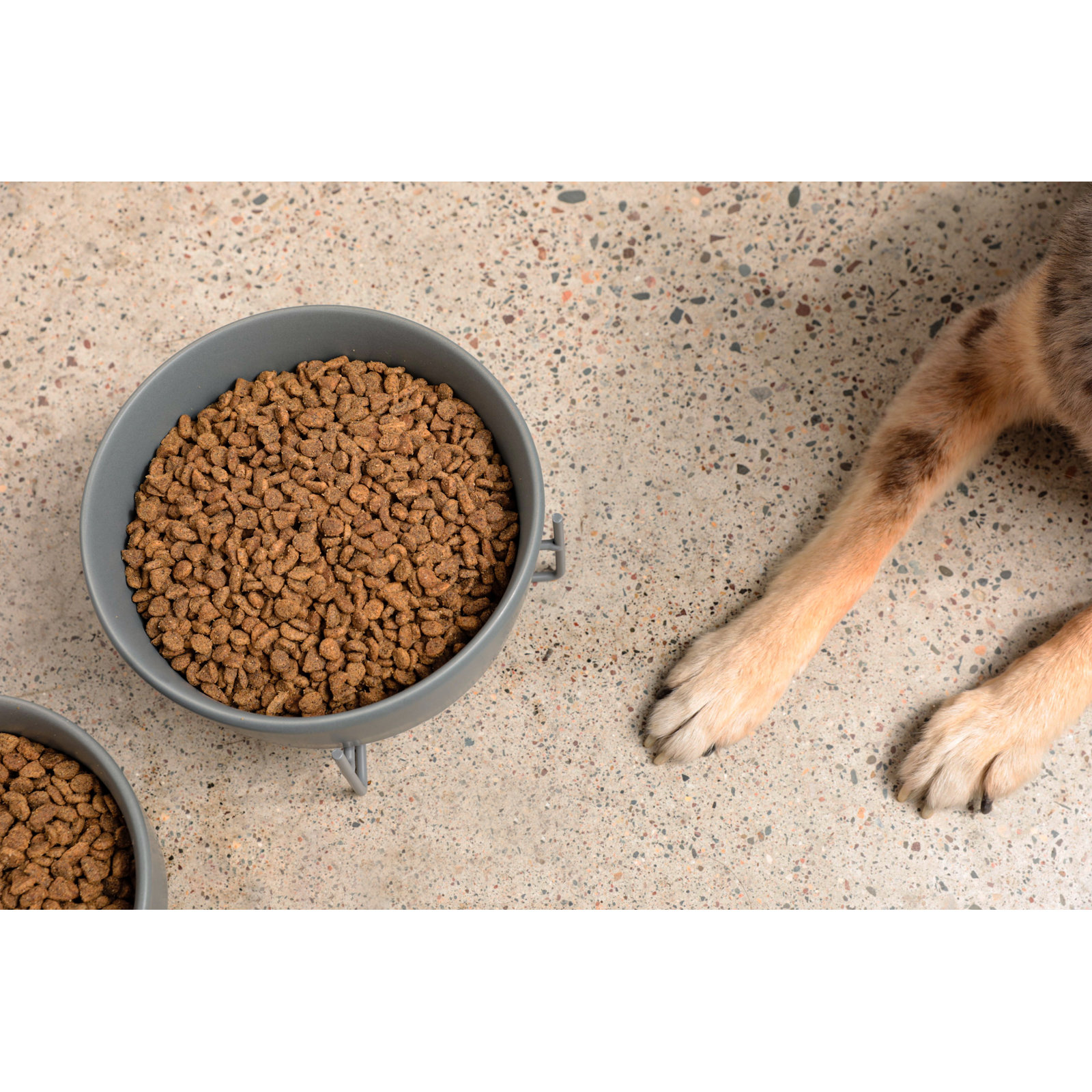 Simple Solid Bowl & Dog Bowl Stand, Small (2 cups / 16 fl. oz.), Matte Dolphin