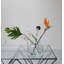 Holden 7'' Glass Table Vase