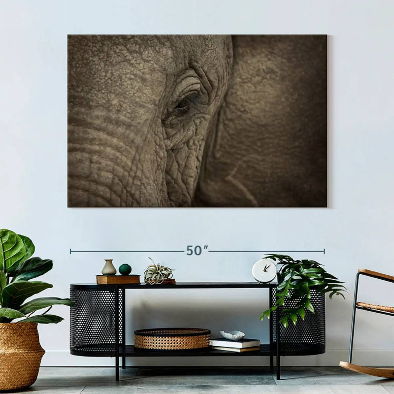 Brampt African Elephant Eye, 34" H x 51" W