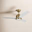 Ventilateur de plafond avec lumières DEL Aida-304608586-304608590-304608596