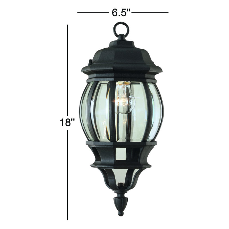Lanterne suspendue d'extérieur 1 lumière Anasthasie