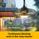 Christenia 21" Outdoor Gazebo Ceiling Fan with Lights, Wet Rated Hanging Fan for Patio with Remote/APP Control IP44