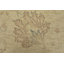 Tapis carré nouvel âge en laine 6 pi 1 po x 6 pi 4 po Morgiane