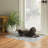 Joris Machine Washable Ivory and Black Area Rug-1477235239