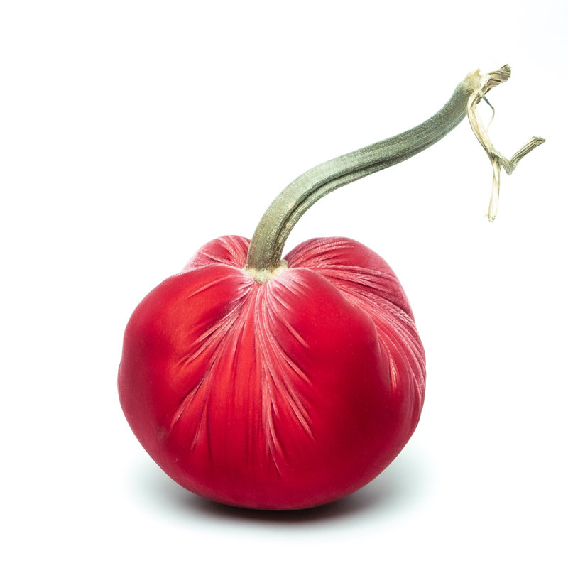 Guava Silk Velvet Pumpkin, 13" H x 11" W x 11" D
