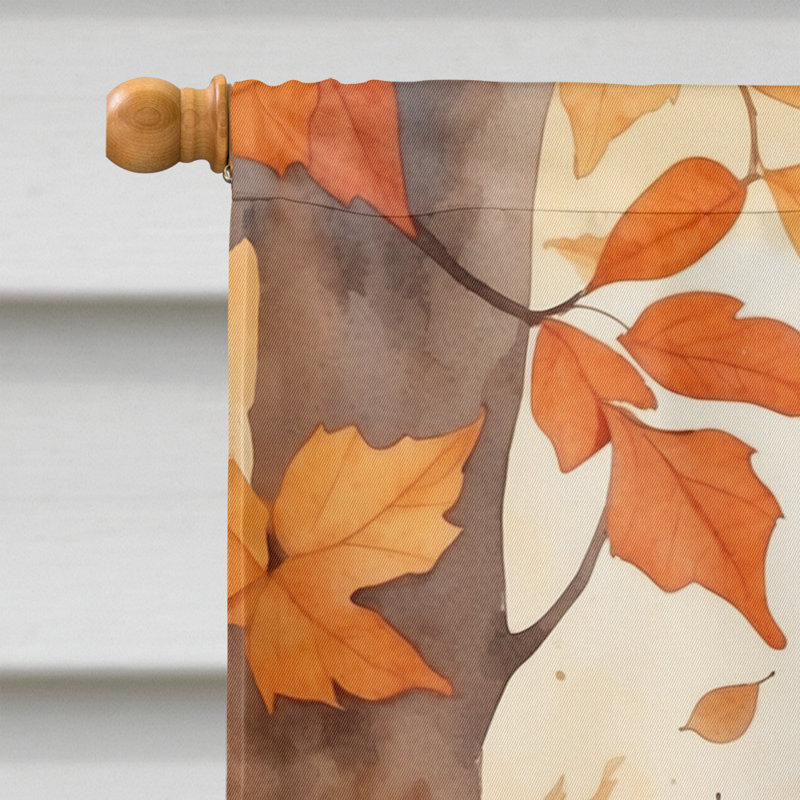 Chat en feuilles d'automne, American Wirehair