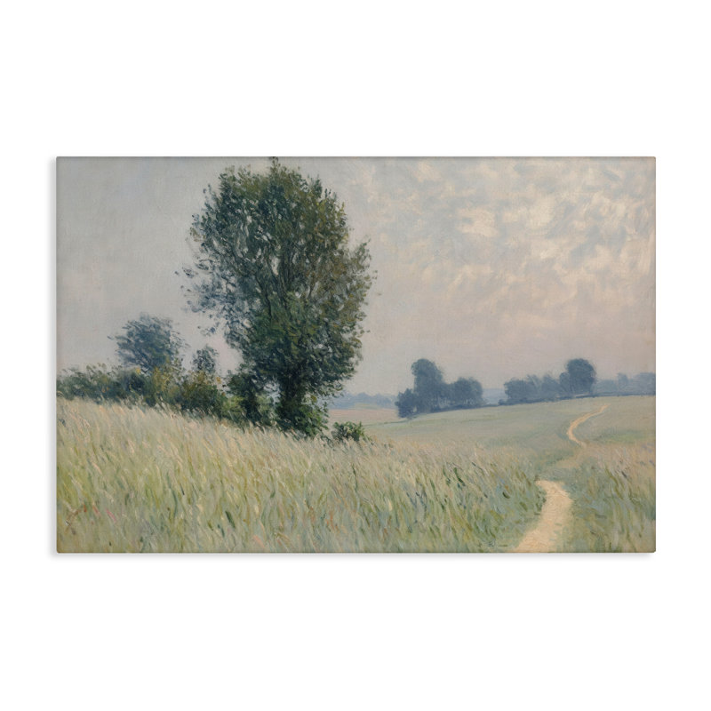Tall Grass Path in Field Canvas, conception de Petal Prints Design, H 24 po x l 36 po