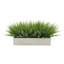 Herbe d'oignon artificielle en pot-1435386111-1435473018-1435473021