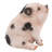 Chubby Piglet Sitting Statue