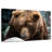 Brampt Kamchatka Brown Bear-107694241