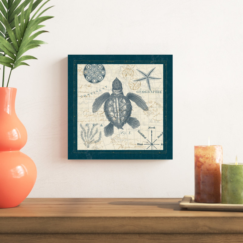 " Ocean Life VI " by Pela, 12" H x 12" W