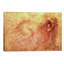 Sketch Of A Roaring Lion by Leonardo Da Vinci - Painting on Canvas-50017881-89235136